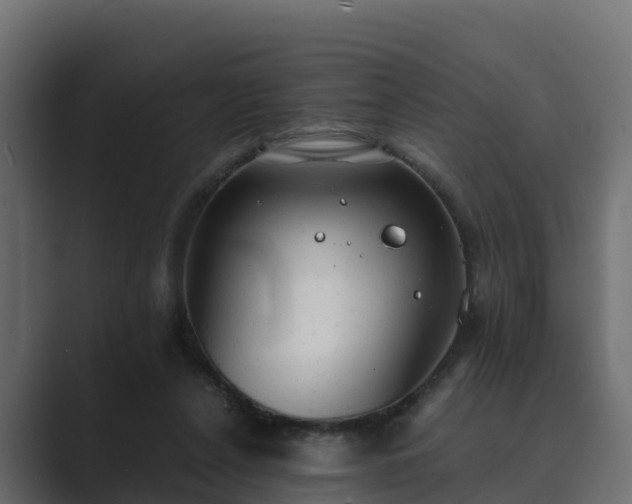 X0000089670256200706281344