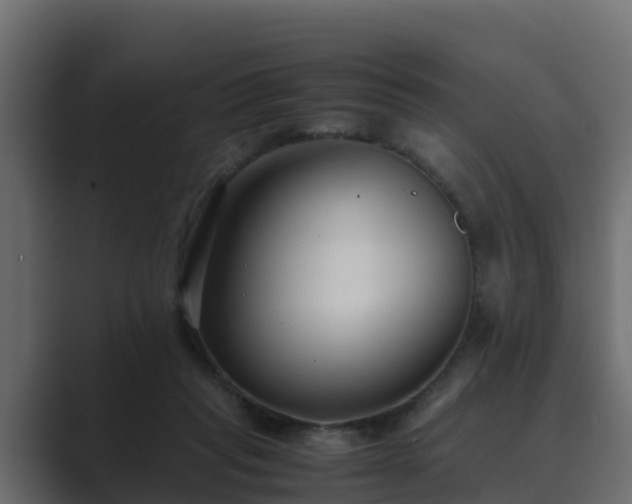 X0000089670261200706281344