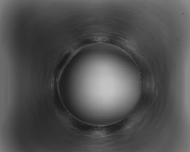 X0000089670263200706281344