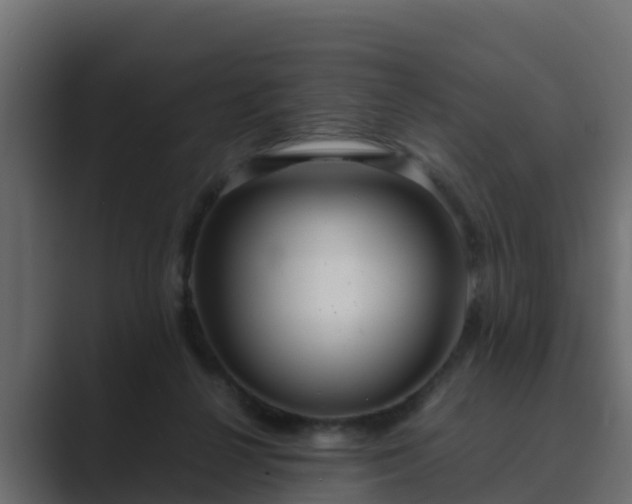 X0000089670264200706281344