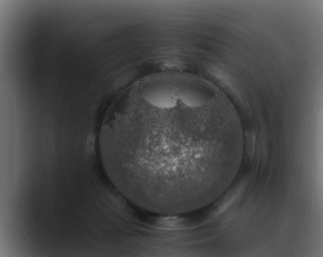 X0000089670269200706281345