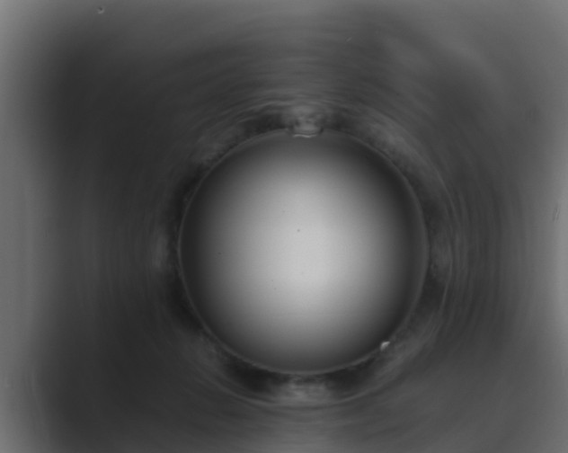 X0000089670270200706281345