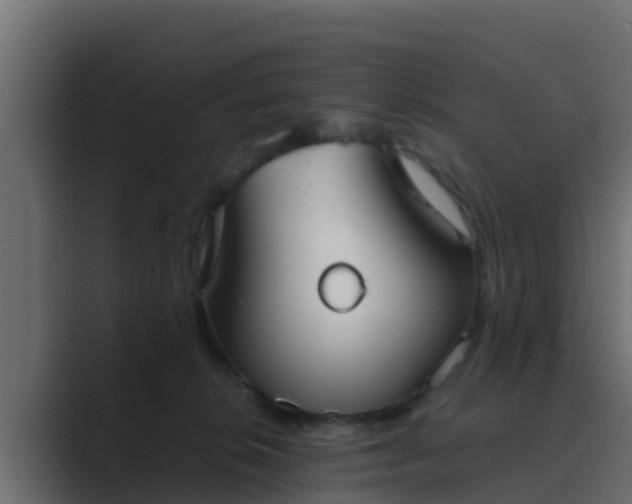 X0000089670276200706281345