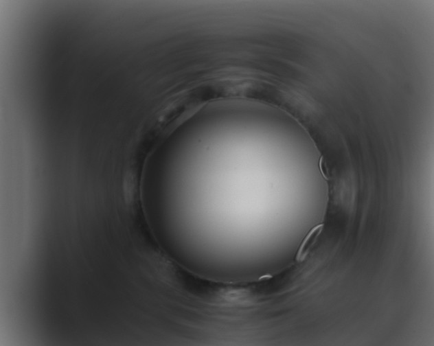 X0000089670283200706281345