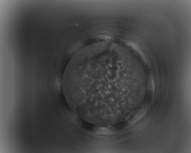 X0000089670285200706281345