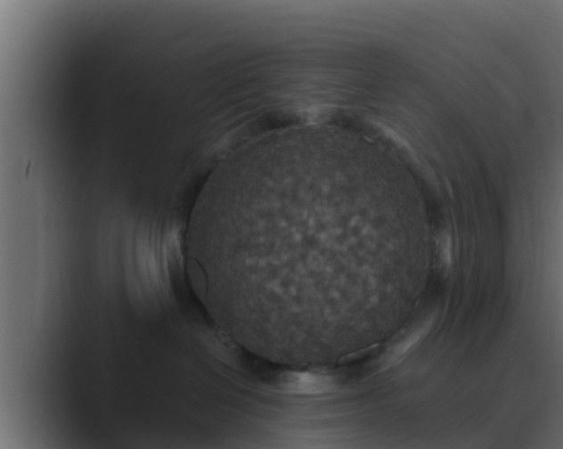 X0000089670286200706281345