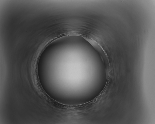 X0000089670289200706281344