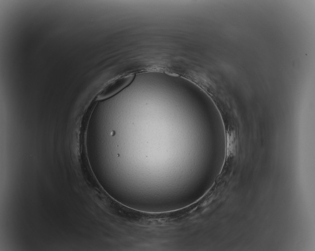 X0000089670291200706281344