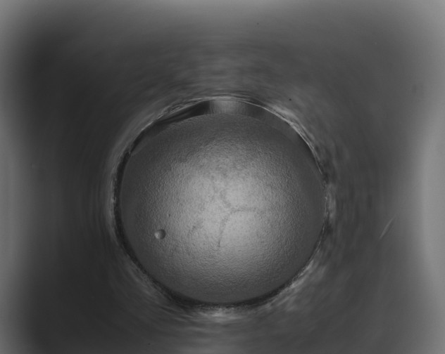 X0000089670293200706281344