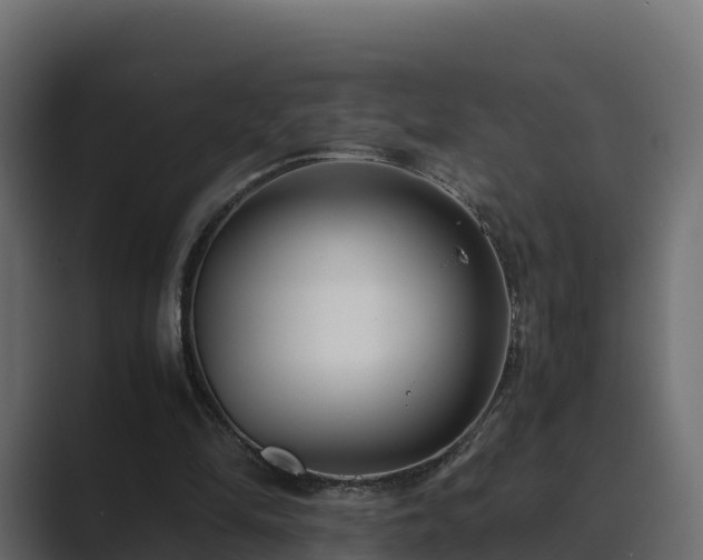 X0000089670294200706281344