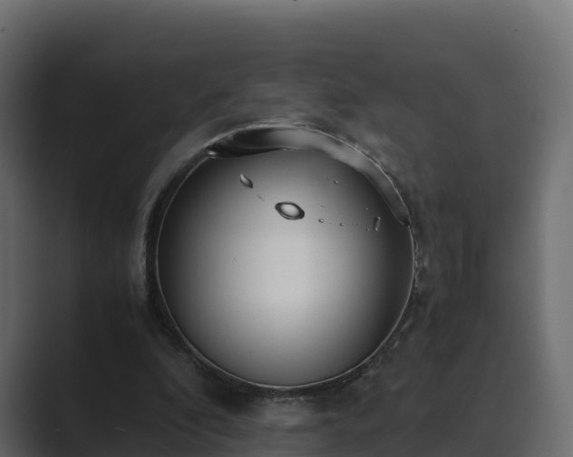 X0000089670296200706281344