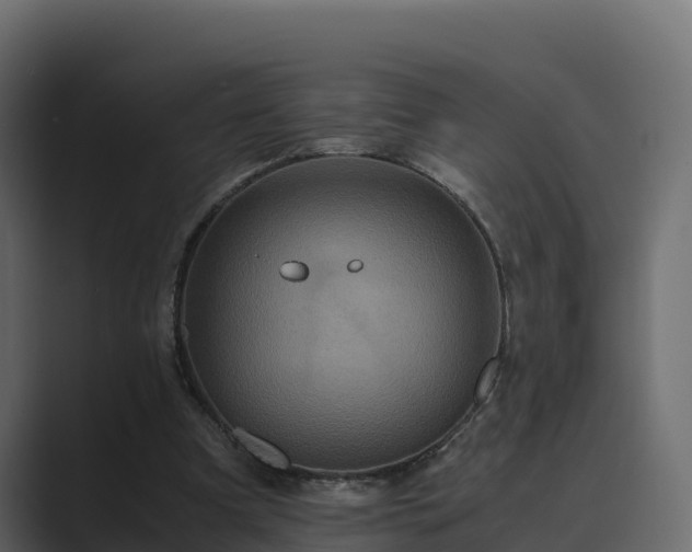 X0000089670297200706281344