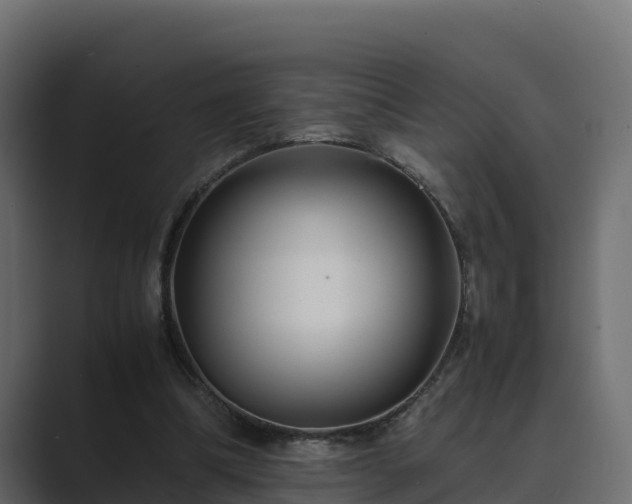 X0000089670298200706281344
