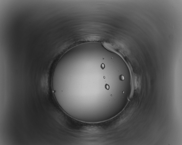 X0000089670300200706281344
