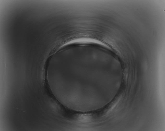 X0000089670303200706281344