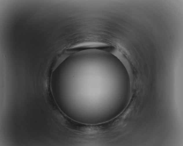 X0000089670305200706281344