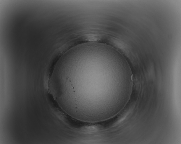 X0000089670307200706281344