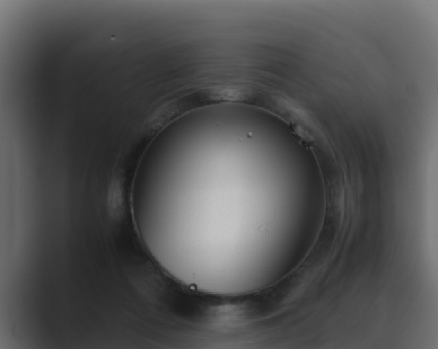 X0000089670312200706281344