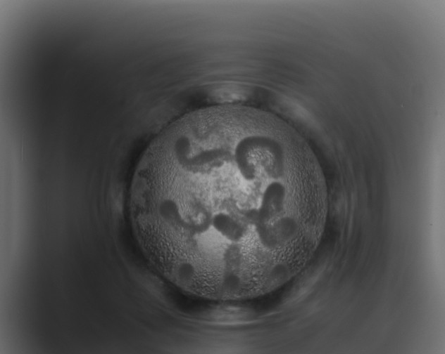 X0000089670315200706281344