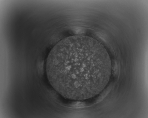 X0000089670319200706281344