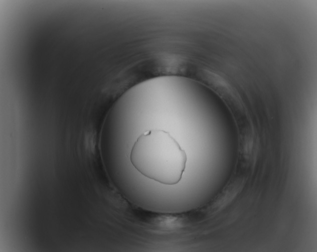 X0000089670326200706281344