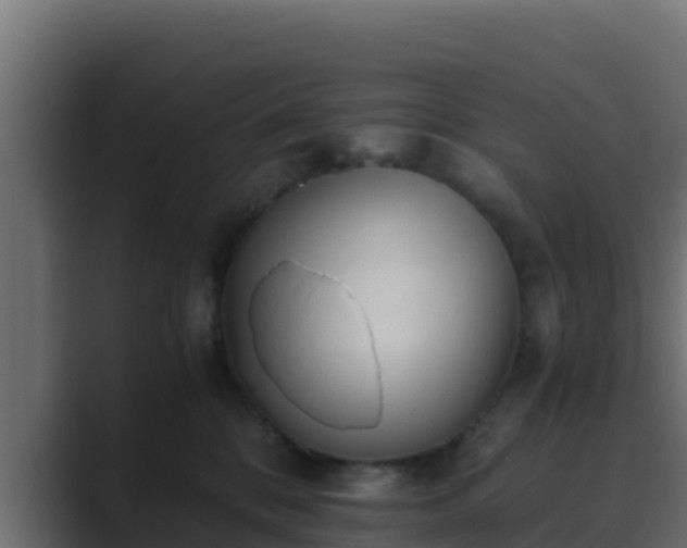X0000089670328200706281344