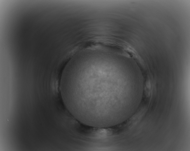 X0000089670330200706281344