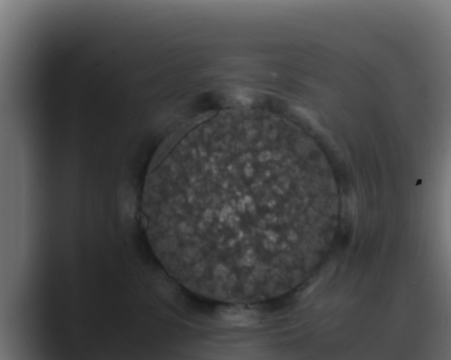 X0000089670331200706281344
