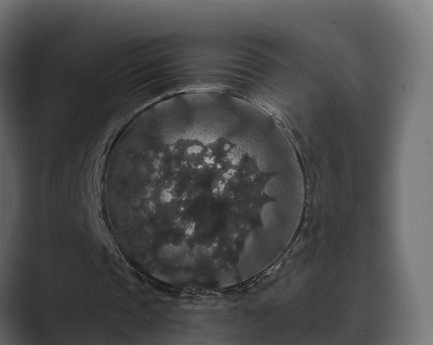 X0000089670337200706281343