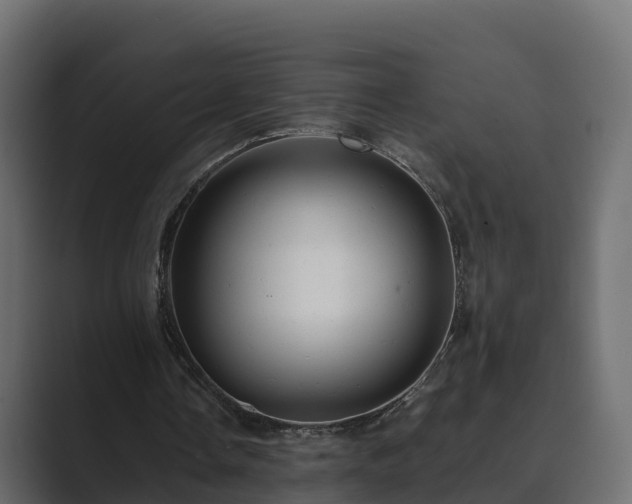 X0000089670338200706281343