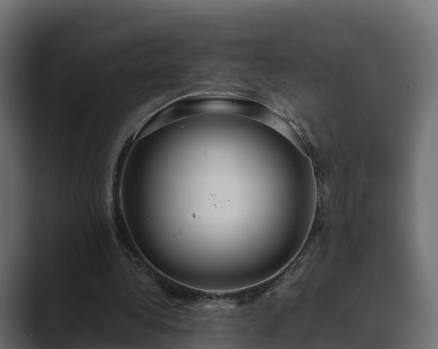 X0000089670340200706281343