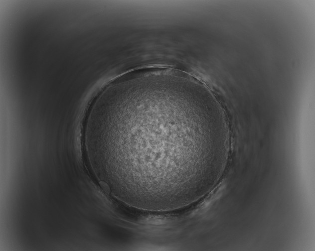 X0000089670341200706281343