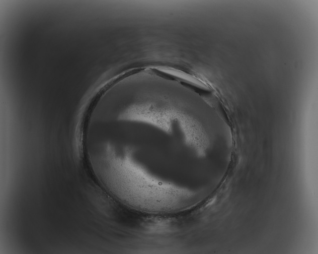 X0000089670343200706281343