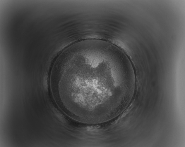 X0000089670345200706281343
