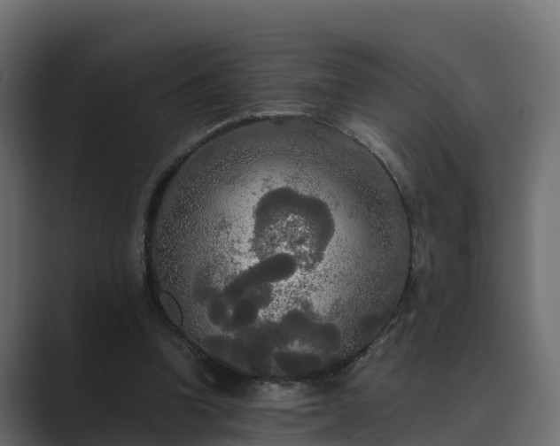 X0000089670346200706281343