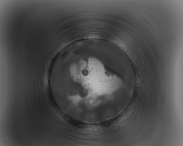 X0000089670347200706281343