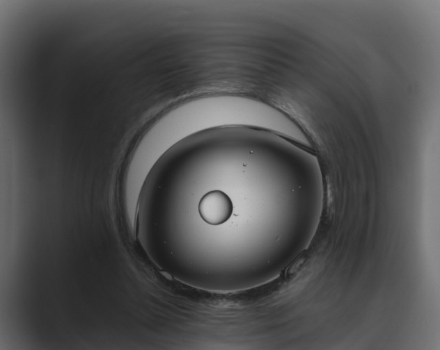 X0000089670348200706281343
