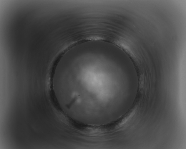 X0000089670351200706281343