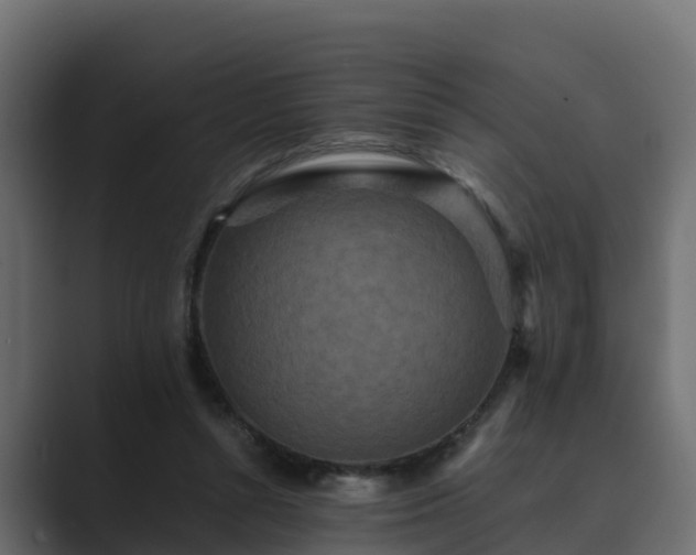 X0000089670352200706281343