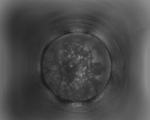 X0000089670353200706281343