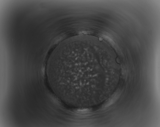 X0000089670357200706281343