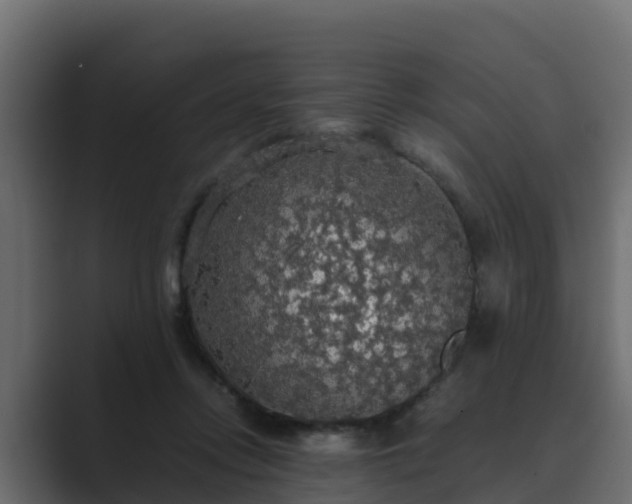 X0000089670358200706281343