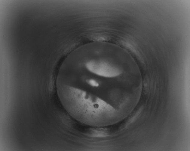 X0000089670359200706281343