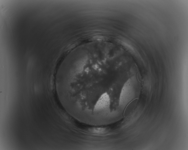 X0000089670361200706281343