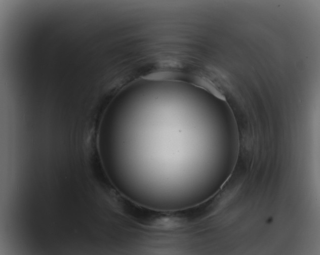 X0000089670364200706281343