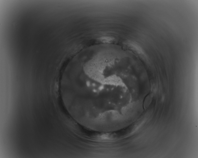 X0000089670365200706281343