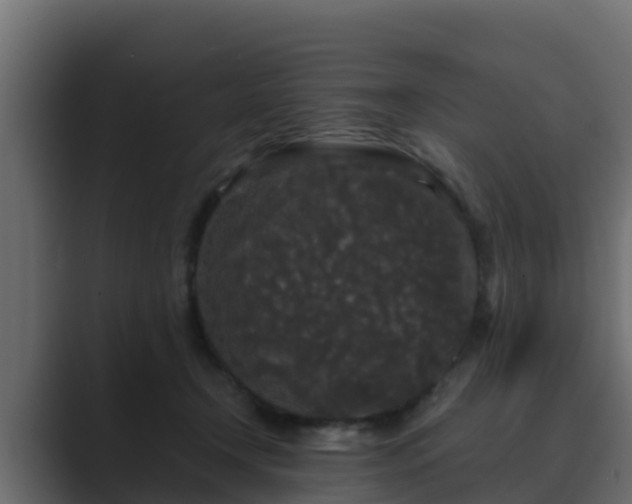 X0000089670366200706281343