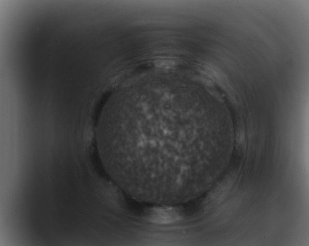 X0000089670367200706281343