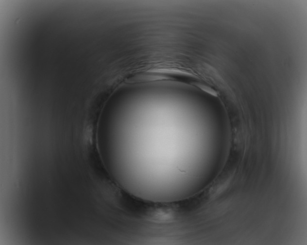 X0000089670368200706281343