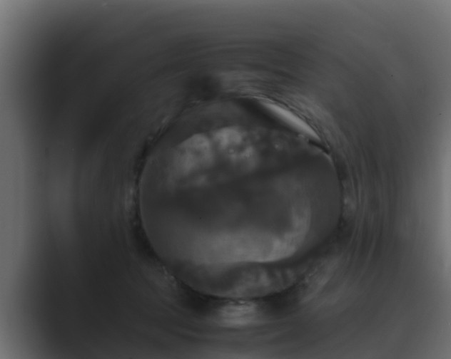 X0000089670369200706281343